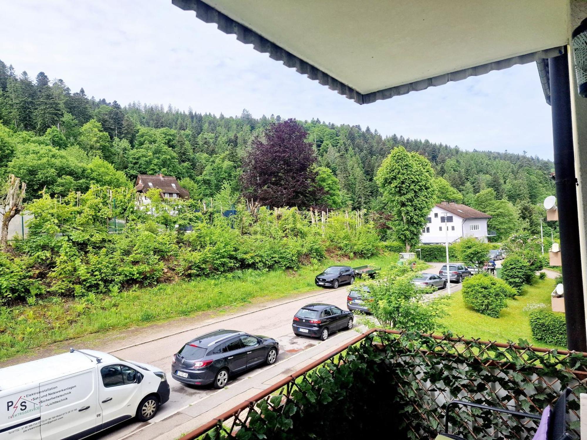 Holiday Apartment Near Triberg Waterfall Триберг Экстерьер фото